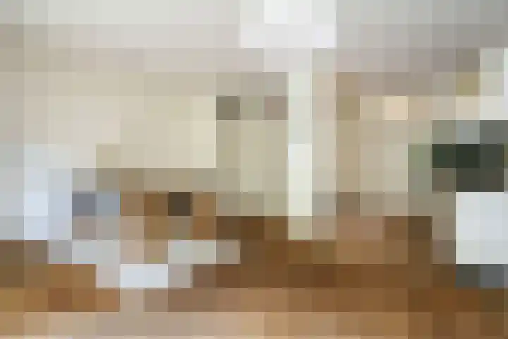 Nijenheim 6419 Zeist thumbnail 5