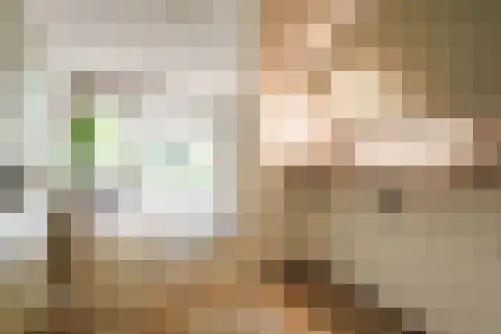 Nijenheim 6419 Zeist thumbnail 8