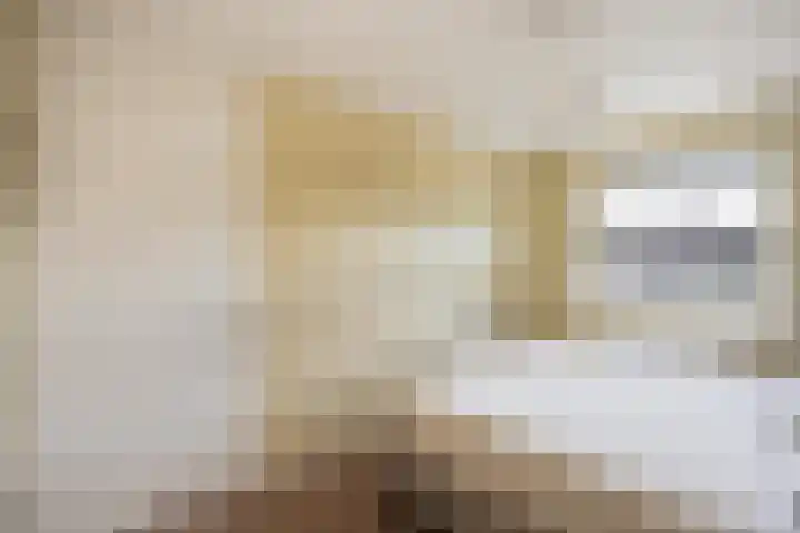Nijenhuislaan 189 B Zwolle thumbnail 20