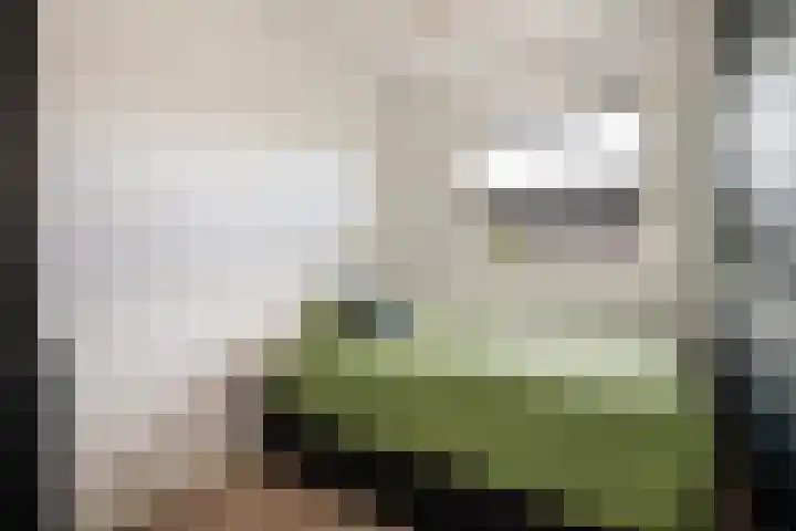 Nijenhuislaan 189 B Zwolle thumbnail 21
