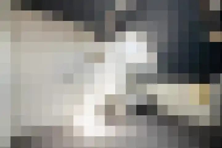 Nijenhuislaan 189 B Zwolle thumbnail 30
