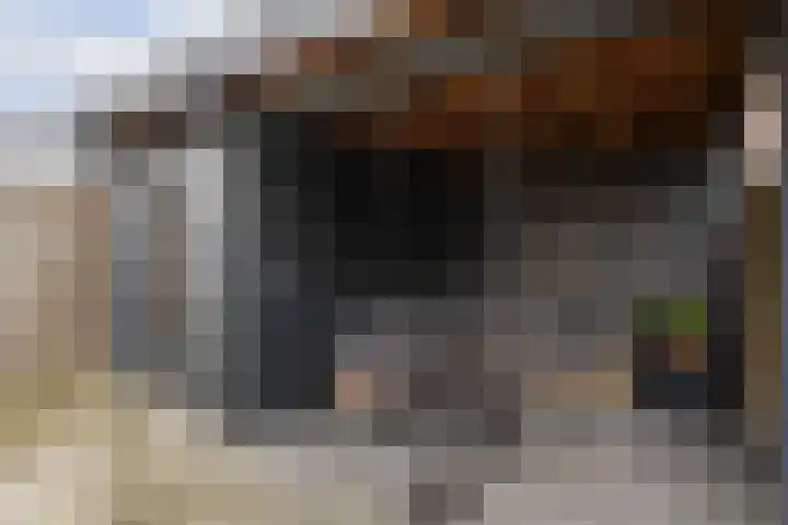Nijenhuislaan 189 B Zwolle thumbnail 33