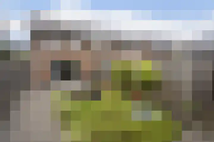 Nijenhuislaan 189 B Zwolle thumbnail 34