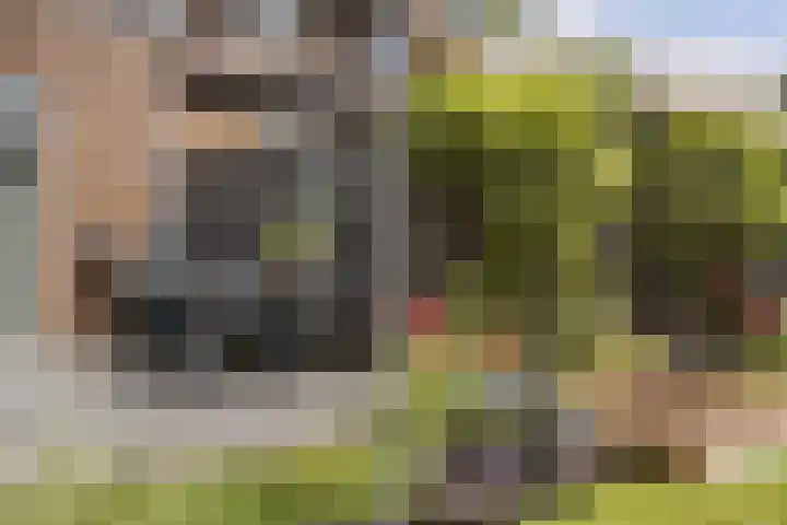 Nijenhuislaan 189 B Zwolle thumbnail 35