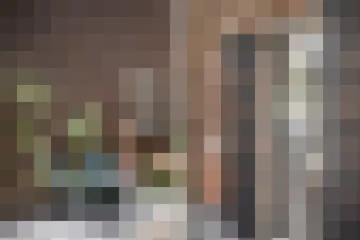 Nijenhuislaan 189 B Zwolle thumbnail 4