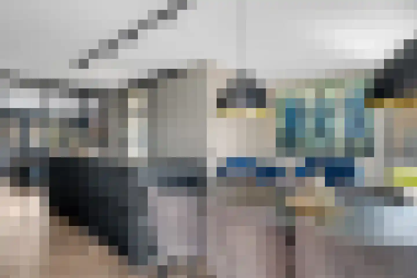 Nijenhuislaan 40 Zwolle thumbnail 10
