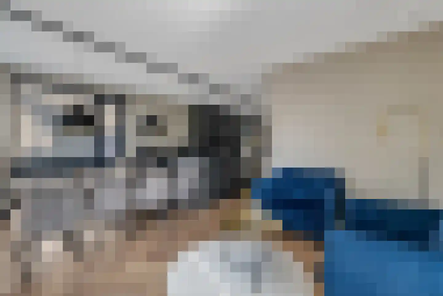 Nijenhuislaan 40 Zwolle thumbnail 11