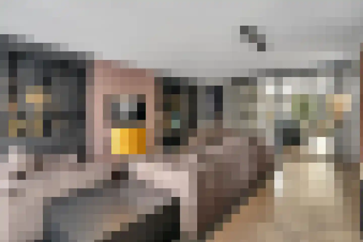 Nijenhuislaan 40 Zwolle thumbnail 14