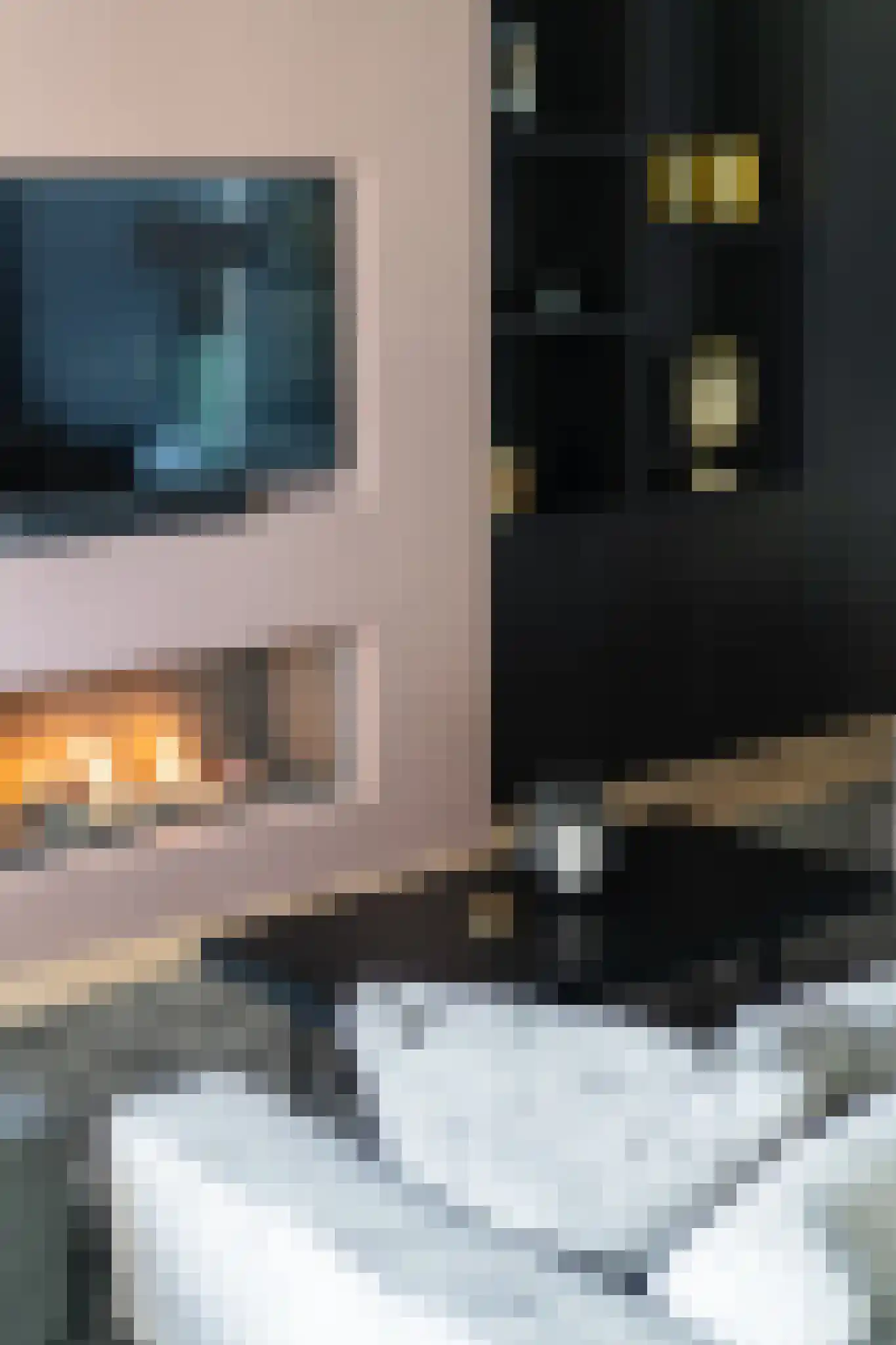Nijenhuislaan 40 Zwolle thumbnail 16