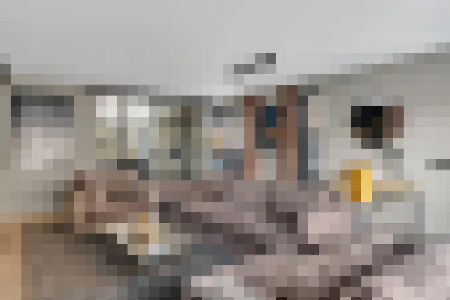 Nijenhuislaan 40 Zwolle thumbnail 18