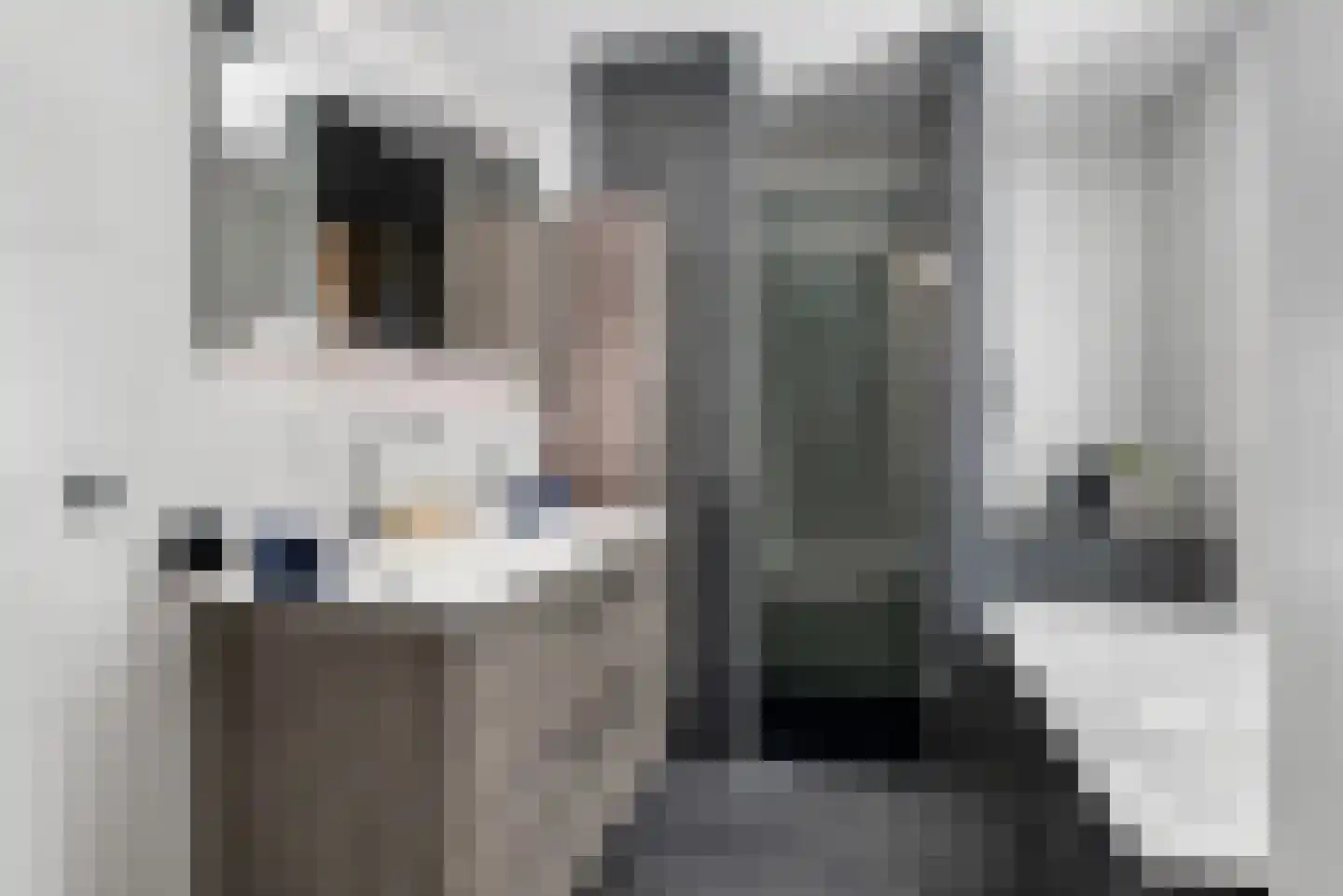 Nijenhuislaan 40 Zwolle thumbnail 27