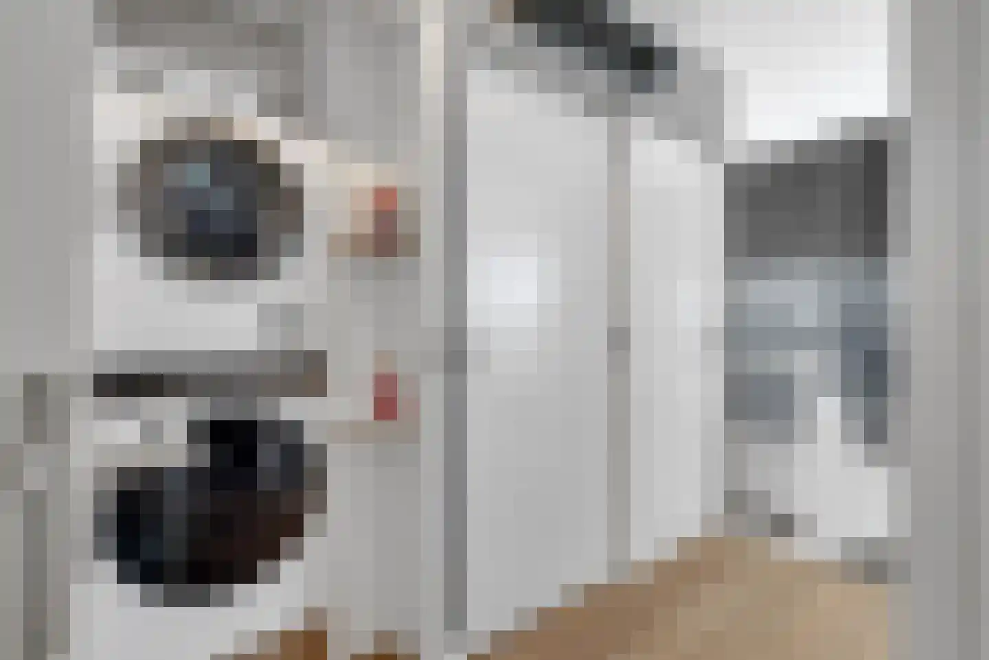Nijenhuislaan 40 Zwolle thumbnail 30
