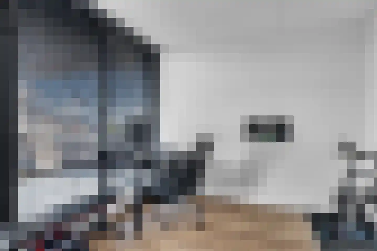 Nijenhuislaan 40 Zwolle thumbnail 33