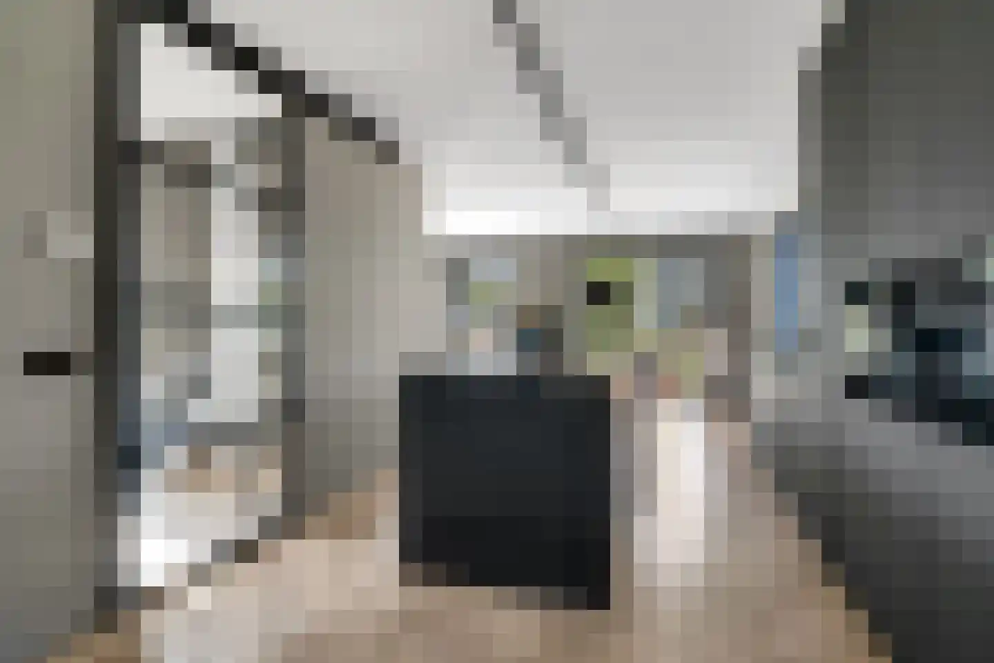 Nijenhuislaan 40 Zwolle thumbnail 7