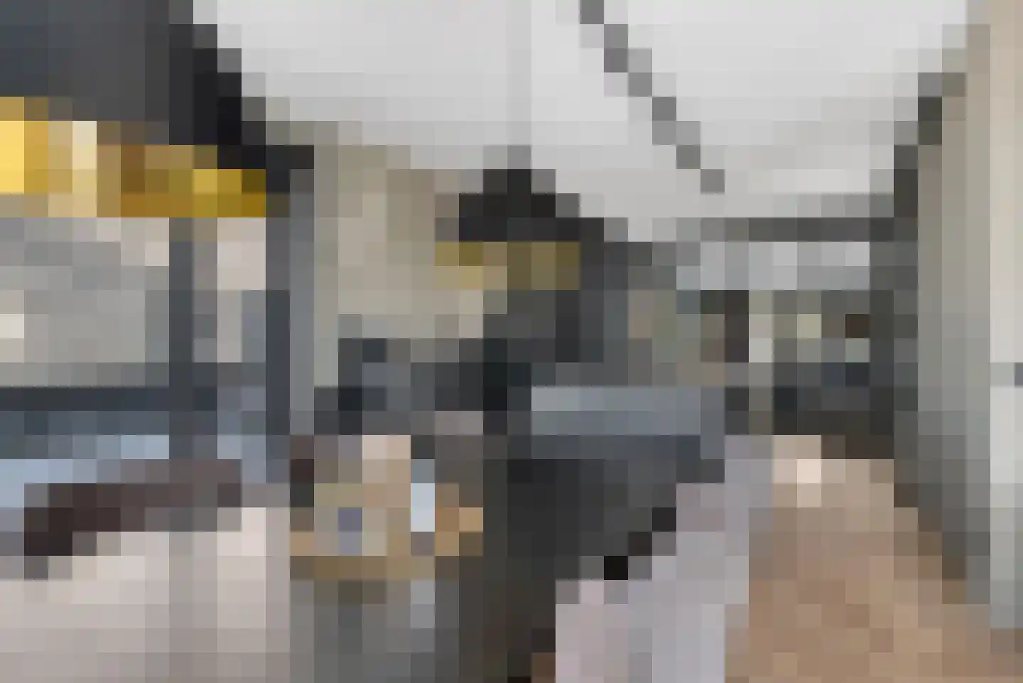 Nijenhuislaan 40 Zwolle thumbnail 8