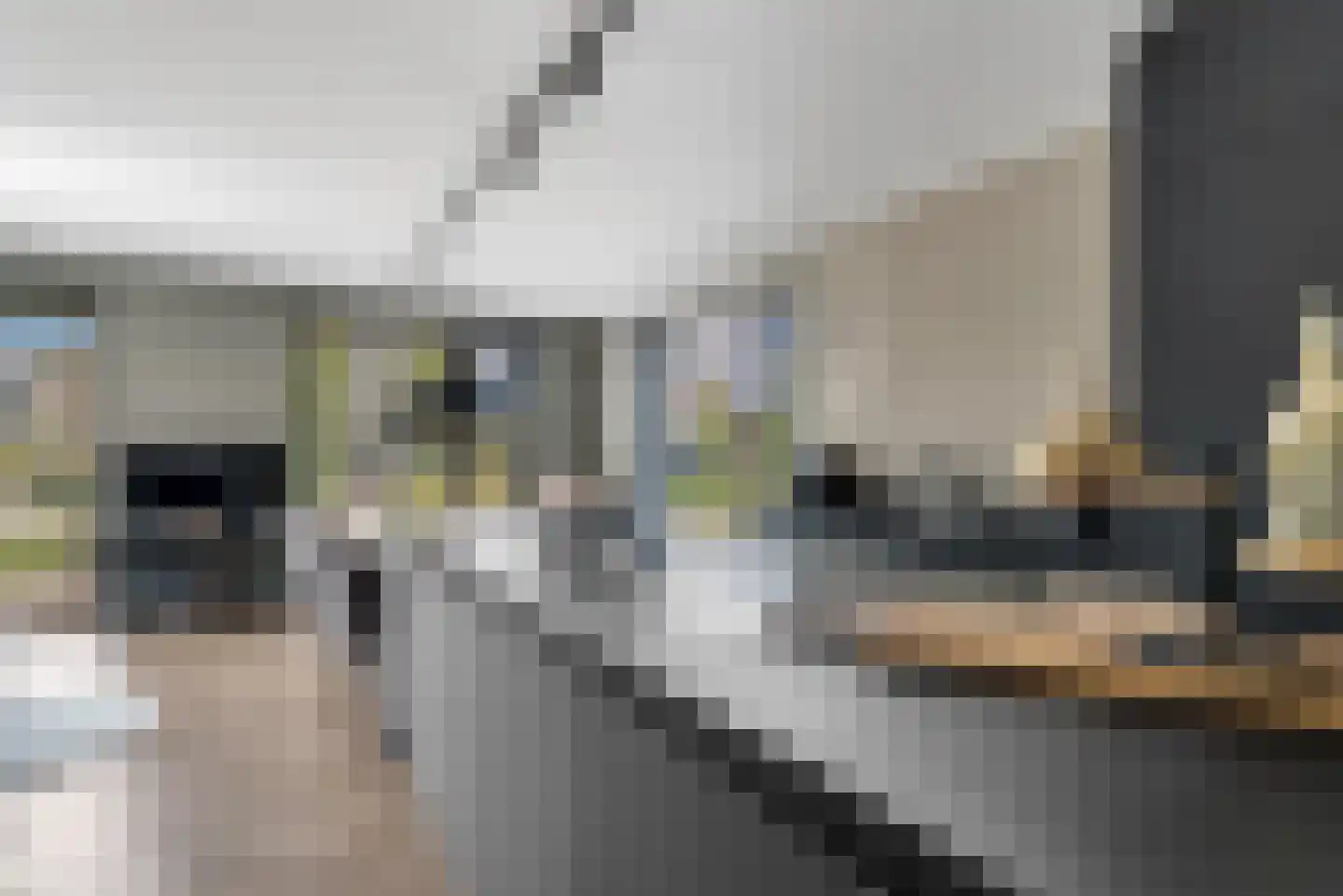 Nijenhuislaan 40 Zwolle thumbnail 9