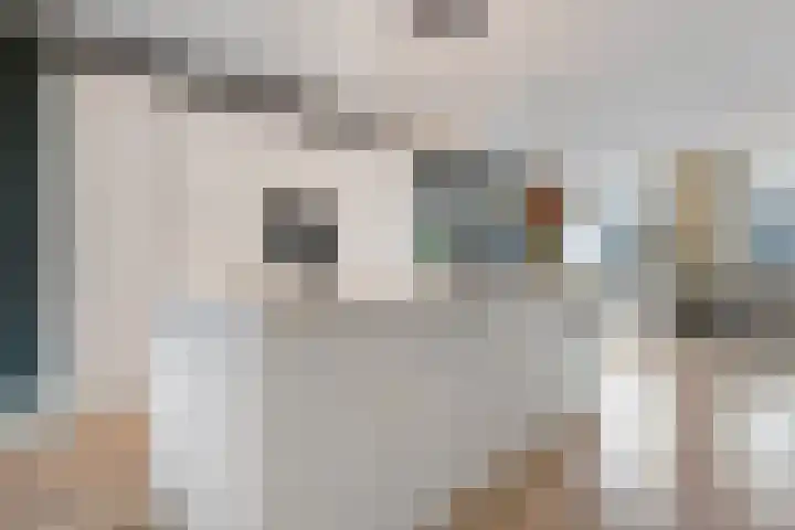Nijenhuislaan 54 Zwolle thumbnail 10