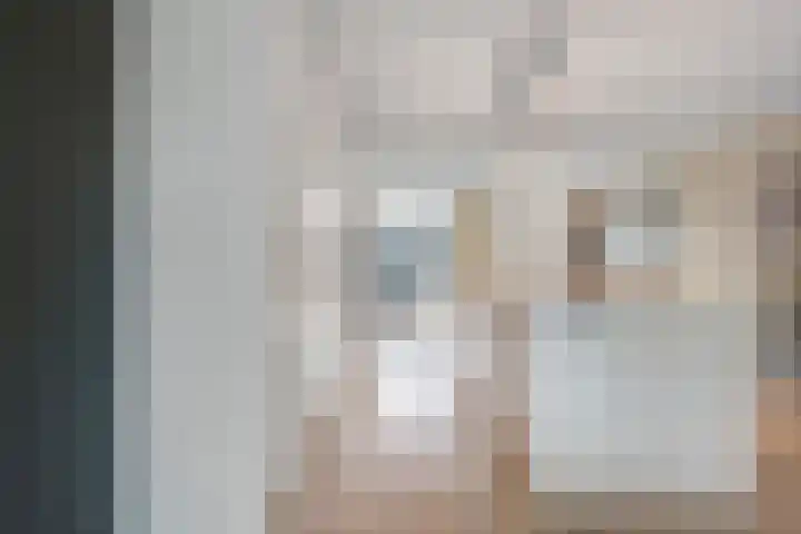 Nijenhuislaan 54 Zwolle thumbnail 13