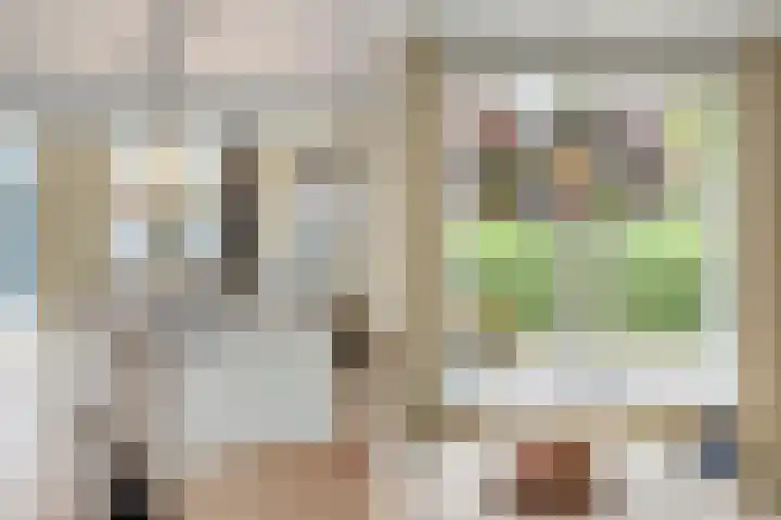 Nijenhuislaan 54 Zwolle thumbnail 22