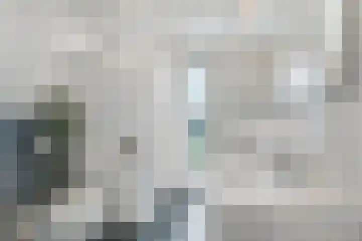 Nijenhuislaan 54 Zwolle thumbnail 31