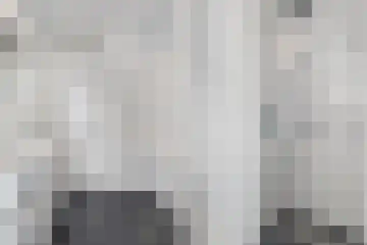 Nijenhuislaan 54 Zwolle thumbnail 32
