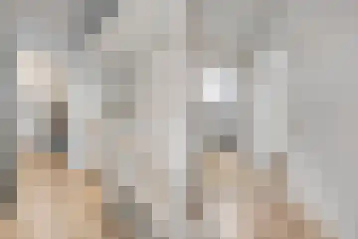 Nijenhuislaan 54 Zwolle thumbnail 33
