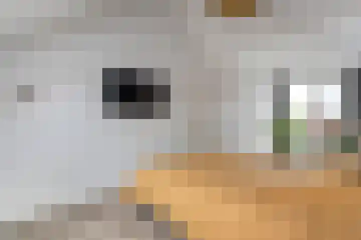 Nijenhuislaan 54 Zwolle thumbnail 36