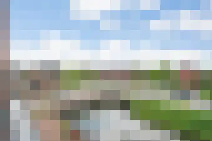 Nijenhuislaan 54 Zwolle thumbnail 38