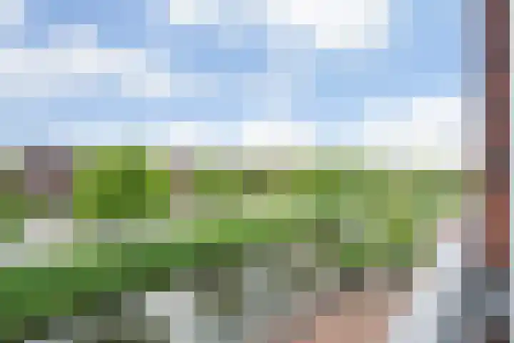 Nijenhuislaan 54 Zwolle thumbnail 39