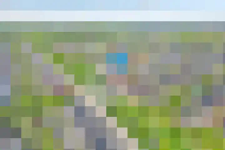Nijenhuislaan 54 Zwolle thumbnail 4