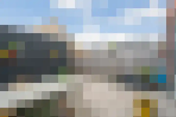 Nijenhuislaan 54 Zwolle thumbnail 40