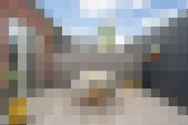 Nijenhuislaan 54 Zwolle thumbnail 42