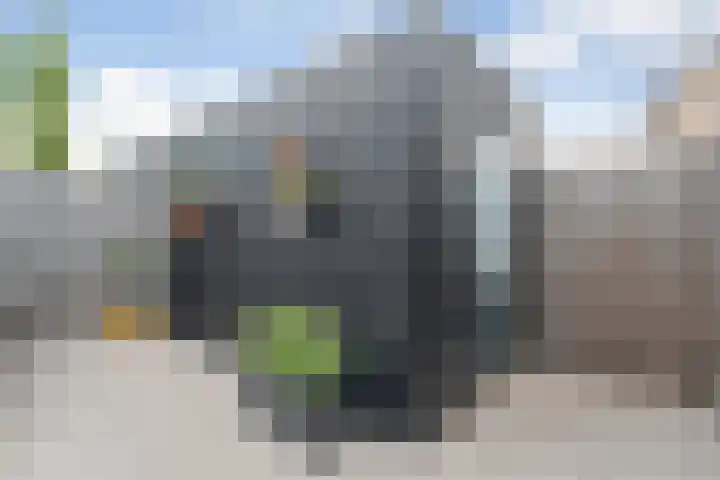 Nijenhuislaan 54 Zwolle thumbnail 45