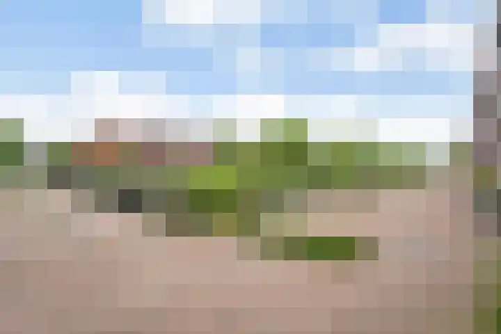 Nijenhuislaan 54 Zwolle thumbnail 51