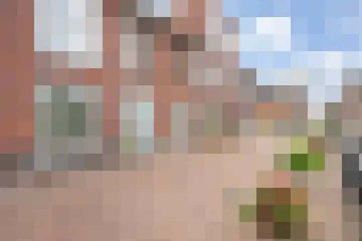 Nijenhuislaan 54 Zwolle thumbnail 58