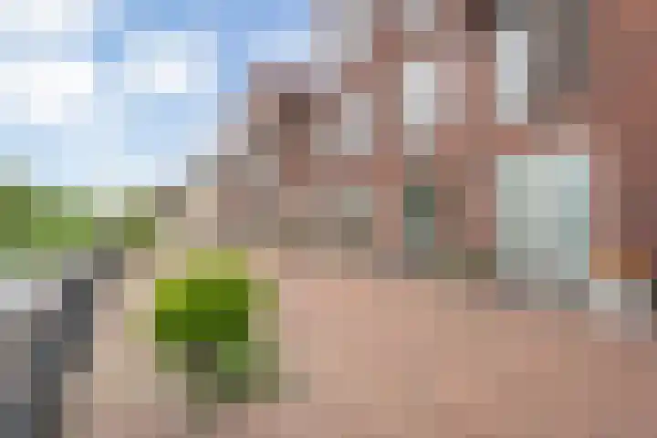 Nijenhuislaan 54 Zwolle thumbnail 7