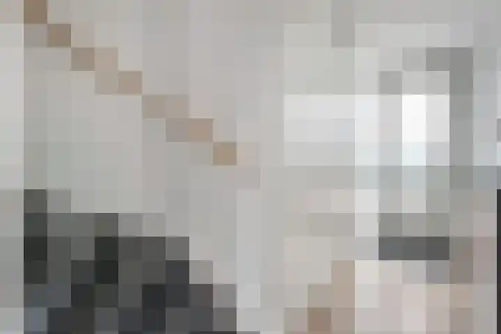 Nijenhuislaan 54 Zwolle thumbnail 9