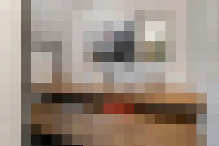 Nijenkamp 105 Druten thumbnail 20