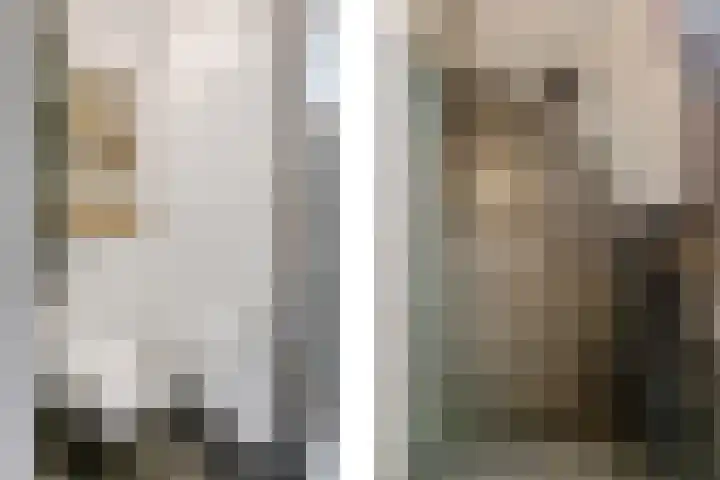 Nijenkamp 105 Druten thumbnail 22