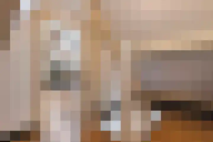 Nijenkamp 105 Druten thumbnail 28