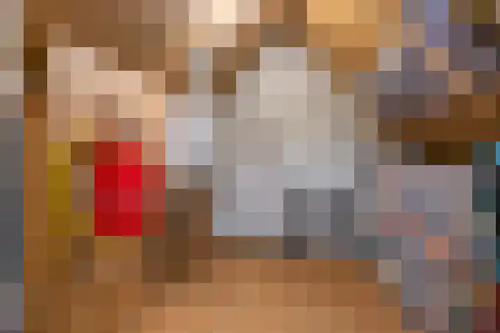 Nijenkamp 105 Druten thumbnail 31