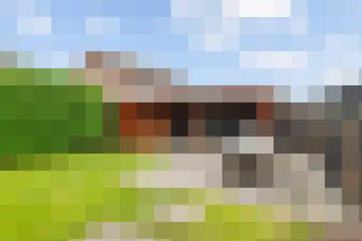 Nijenkamp 105 Druten thumbnail 33
