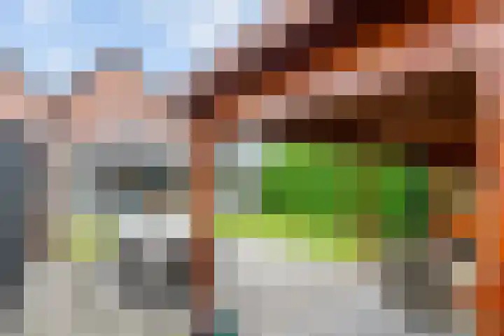 Nijenkamp 105 Druten thumbnail 35