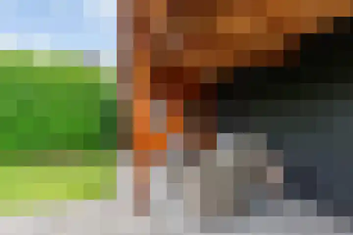 Nijenkamp 105 Druten thumbnail 36