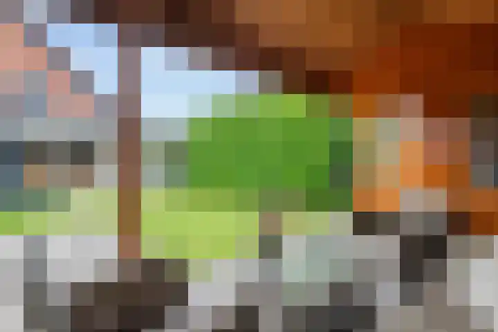 Nijenkamp 105 Druten thumbnail 37