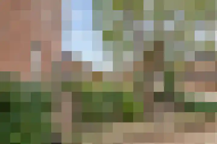 Nijenkamp 105 Druten thumbnail 39