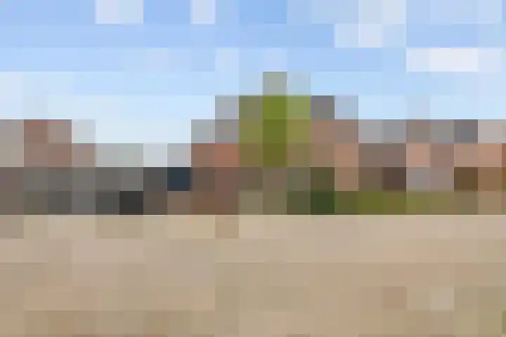 Nijenkamp 105 Druten thumbnail 40