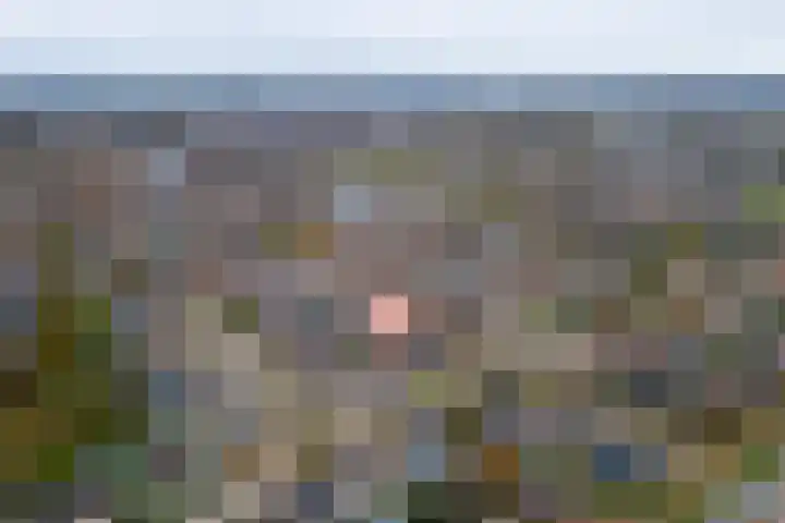 Nijenkamp 105 Druten thumbnail 42