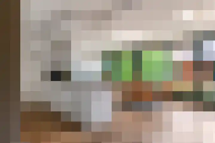 Nijenkamp 105 Druten thumbnail 5