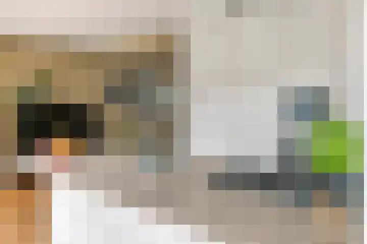 Nijenkamp 105 Druten thumbnail 7